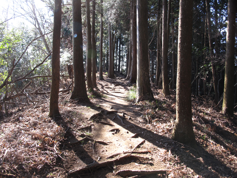20170126hike (72)
